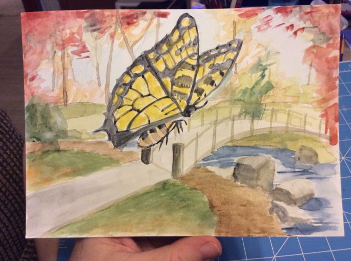 Autumn butterfly by Amy Sue Stirland